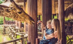 zoo