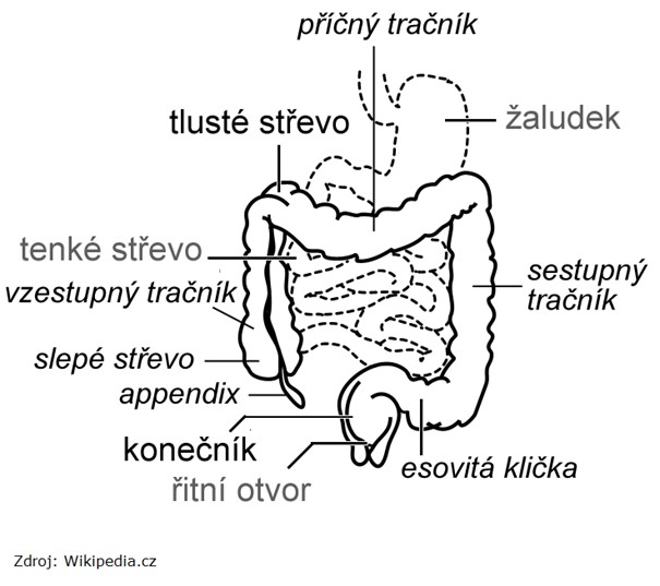 Screening karcinomu konečníku a tlustého střeva - graf 