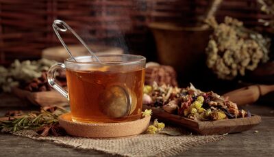 Rozhovor: Jak využít sílu echinacey, šípku či rakytníku